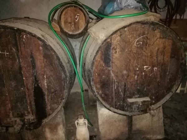 3#4987 Botti e attrezzature per raccolta olive in vendita - foto 2