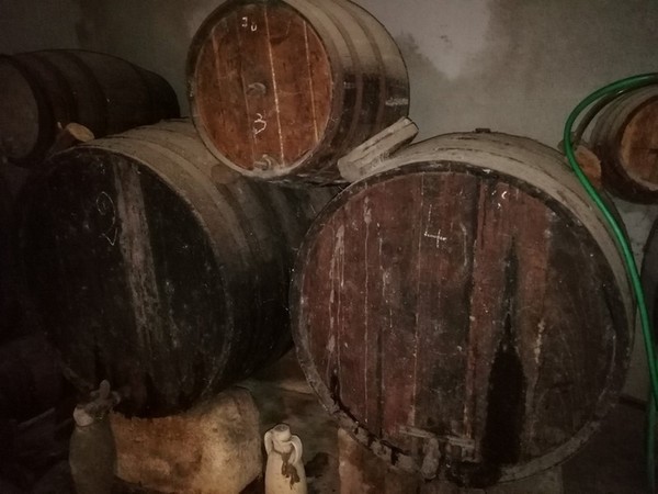 3#4987 Botti e attrezzature per raccolta olive in vendita - foto 3