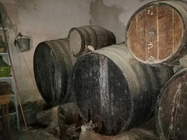 3#4987 Botti e attrezzature per raccolta olive in vendita - foto 4