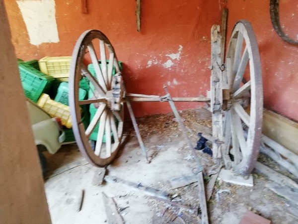 3#4987 Botti e attrezzature per raccolta olive in vendita - foto 6