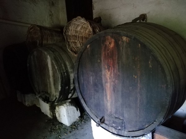3#4987 Botti e attrezzature per raccolta olive in vendita - foto 8