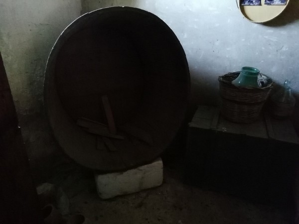 3#4987 Botti e attrezzature per raccolta olive in vendita - foto 11