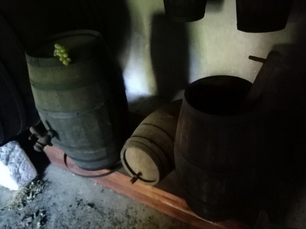 3#4987 Botti e attrezzature per raccolta olive in vendita - foto 12