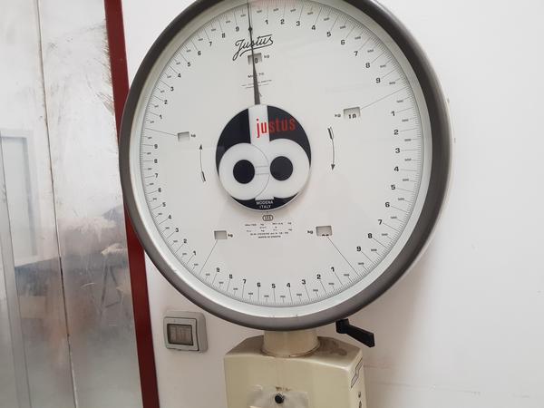 1#5009 Cessione di beni mobili e immobili di società dedita alla produzione di maglieria in vendita - foto 147