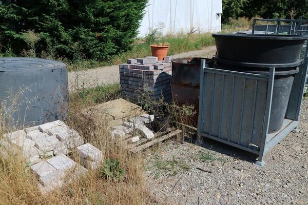 1#5010 Piante e accessori per serra in vendita - foto 4