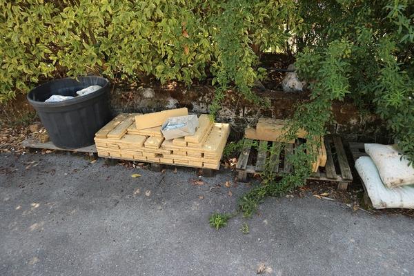 1#5010 Piante e accessori per serra in vendita - foto 37