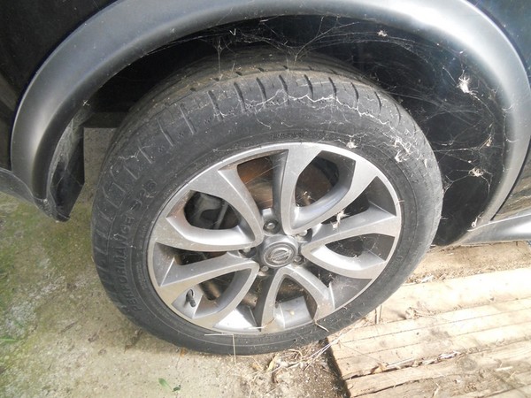 2#5038 Autovettura Nissan Juke in vendita - foto 15