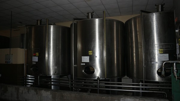 1#5050 Cessione di oleificio Venturi Spa in vendita - foto 21