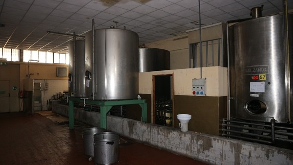 1#5050 Cessione di oleificio Venturi Spa in vendita - foto 22