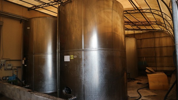1#5050 Cessione di oleificio Venturi Spa in vendita - foto 39