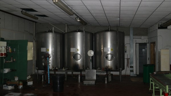 1#5050 Cessione di oleificio Venturi Spa in vendita - foto 43