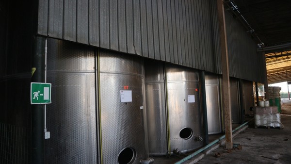 1#5050 Cessione di oleificio Venturi Spa in vendita - foto 46