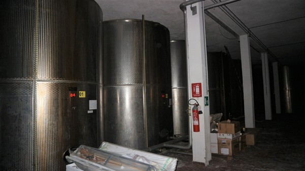 1#5050 Cessione di oleificio Venturi Spa in vendita - foto 68