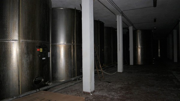 1#5050 Cessione di oleificio Venturi Spa in vendita - foto 69
