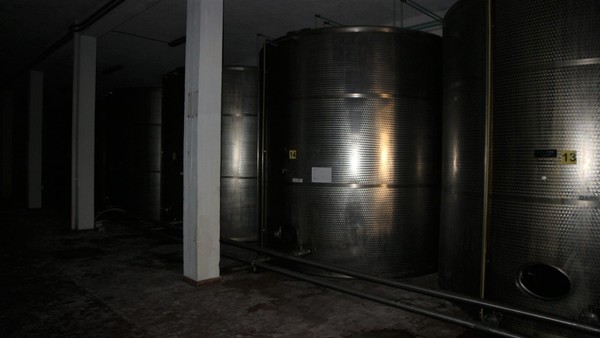 1#5050 Cessione di oleificio Venturi Spa in vendita - foto 71