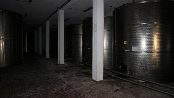 1#5050 Cessione di oleificio Venturi Spa in vendita - foto 72