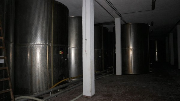 1#5050 Cessione di oleificio Venturi Spa in vendita - foto 73