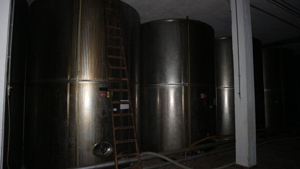 1#5050 Cessione di oleificio Venturi Spa in vendita - foto 74