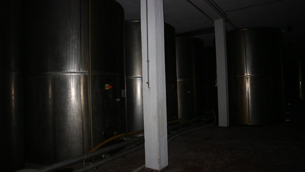 1#5050 Cessione di oleificio Venturi Spa in vendita - foto 81