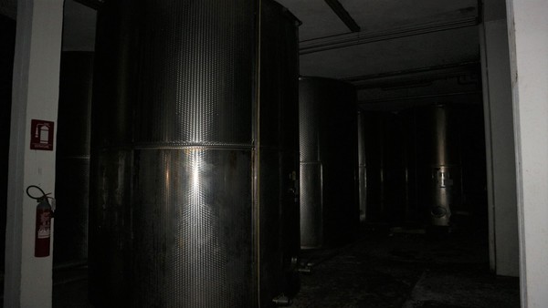 1#5050 Cessione di oleificio Venturi Spa in vendita - foto 83