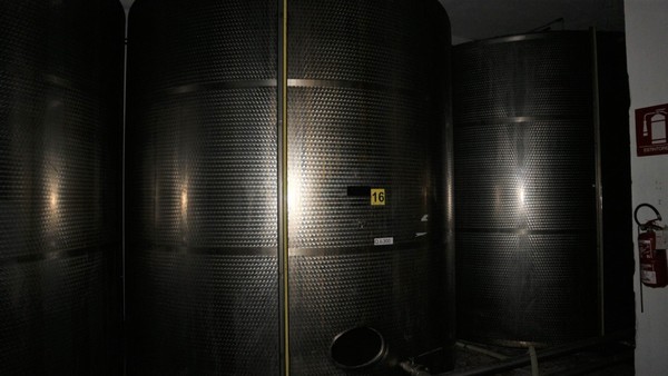 1#5050 Cessione di oleificio Venturi Spa in vendita - foto 84