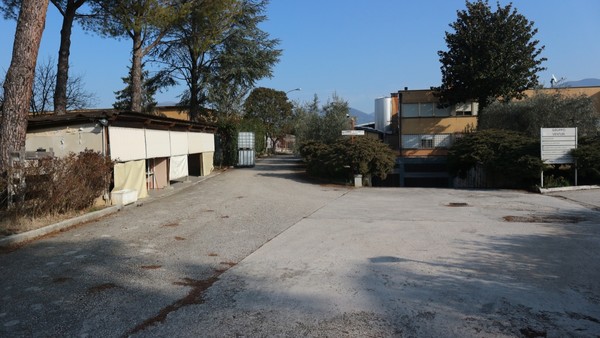 1#5050 Cessione di oleificio Venturi Spa in vendita - foto 88