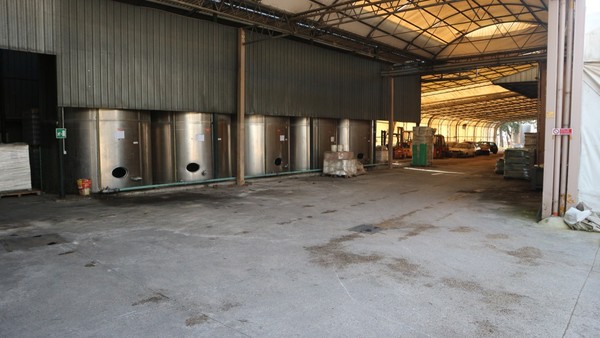 1#5050 Cessione di oleificio Venturi Spa in vendita - foto 96