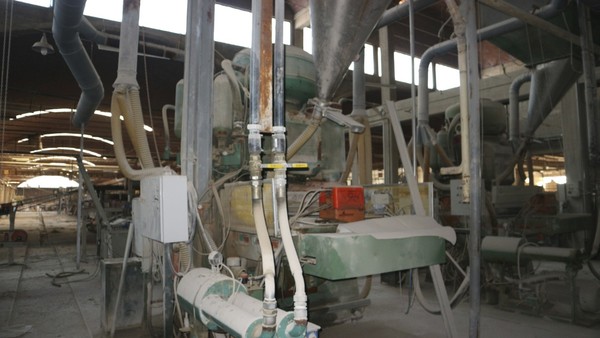 7#5051 Pressa Sacmi in vendita - foto 7