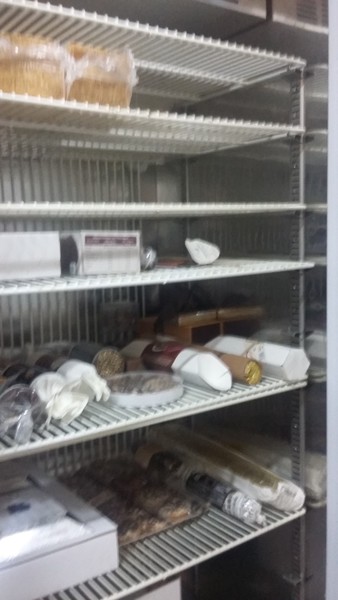 1#5055 Frigo professionale in vendita - foto 3