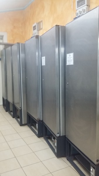8#5055 Frigo professionale in vendita - foto 4