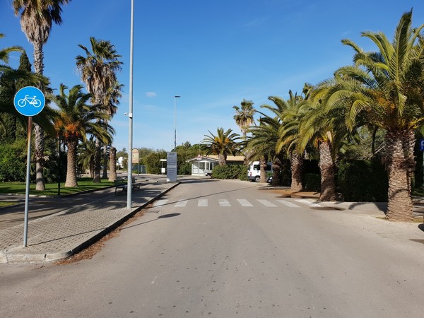 1#5056 Cessione di ramo di azienda dedita ad attività di locazione abitativa e di residence in vendita - foto 101