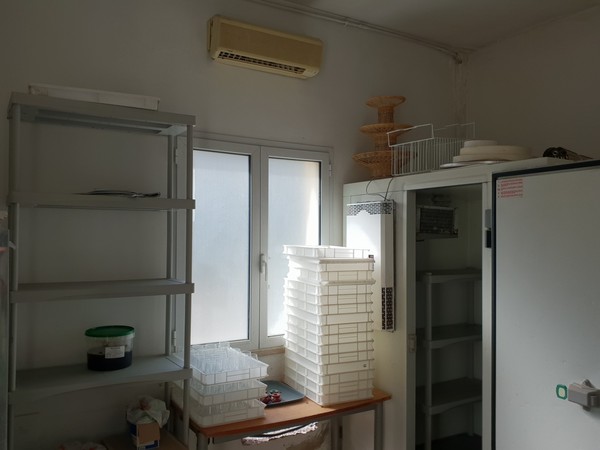 1#5056 Cessione di ramo di azienda dedita ad attività di locazione abitativa e di residence in vendita - foto 114