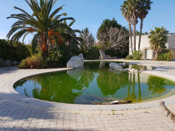 1#5056 Cessione di ramo di azienda dedita ad attività di locazione abitativa e di residence in vendita - foto 157