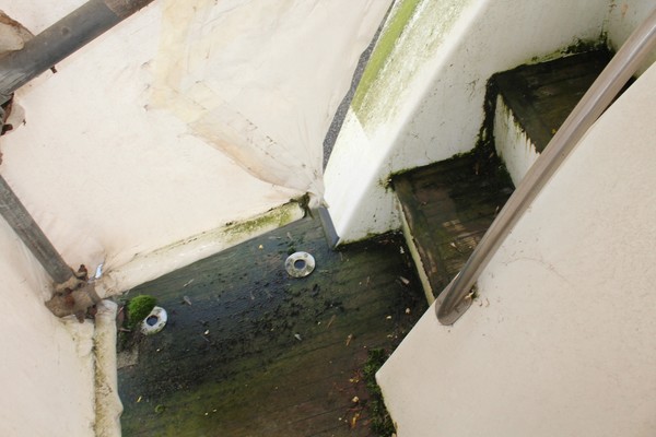 1#5075 Unità di diporto a motore Leopard 21.50 Destiny j in vendita - foto 34