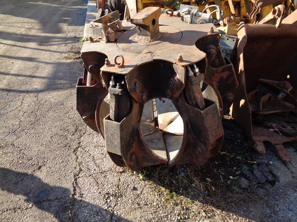 4#5085 Benna a Polipo in vendita - foto 2