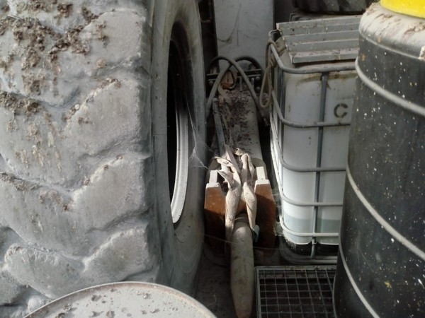 13#5091 Martello demolitore Case in vendita - foto 1