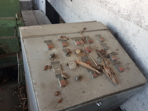 41#5098 Scortecciatrice per tronchi Segem in vendita - foto 12