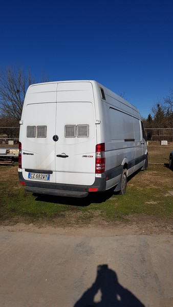 29#5109 Furgone Mercedes Sprinter in vendita - foto 4