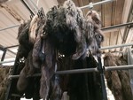 Image 5 - Fur coats - Lot 3 (Auction 5140)