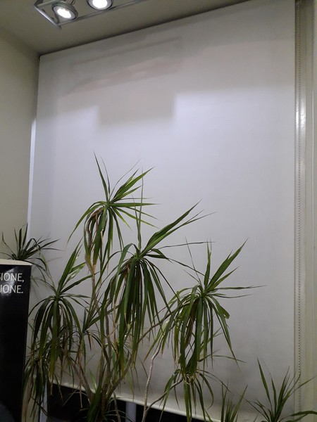 4#5154 Impianto di videosorveglianza e climatizzatore Haier in vendita - foto 20