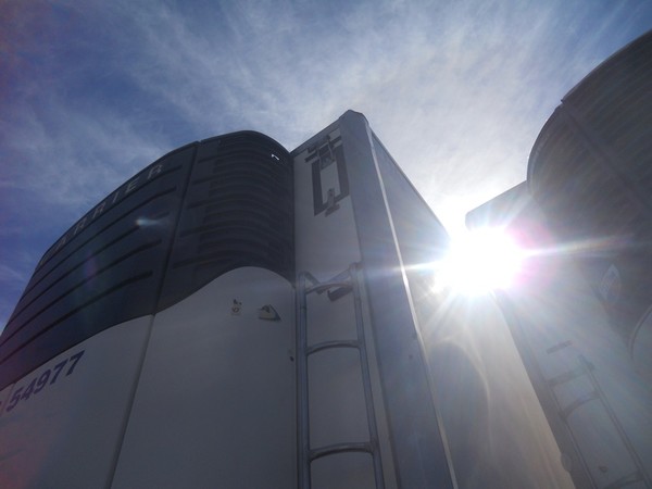 16#5179 Semirimorchio Bartoletti in vendita - foto 16