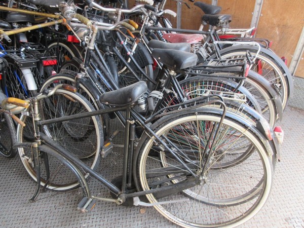 1#5180 Biciclette Olmo e Bcool in vendita - foto 2