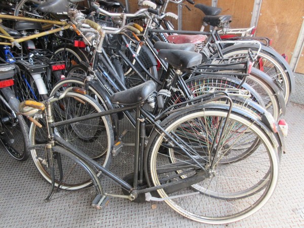 1#5180 Biciclette Olmo e Bcool in vendita - foto 3