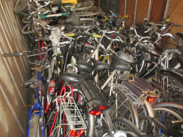 1#5180 Biciclette Olmo e Bcool in vendita - foto 8
