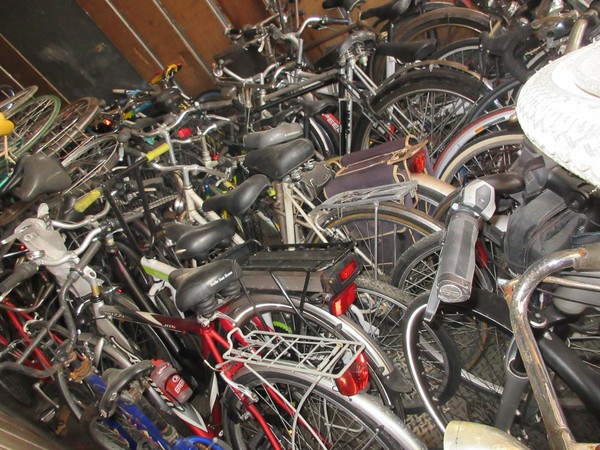 1#5180 Biciclette Olmo e Bcool in vendita - foto 10