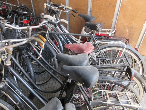 1#5180 Biciclette Olmo e Bcool in vendita - foto 13