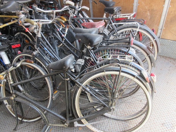 1#5180 Biciclette Olmo e Bcool in vendita - foto 14
