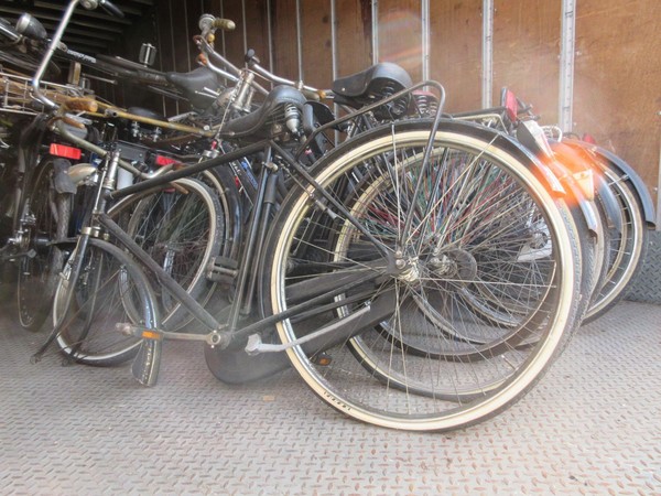 1#5180 Biciclette Olmo e Bcool in vendita - foto 22