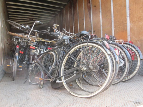 1#5180 Biciclette Olmo e Bcool in vendita - foto 23