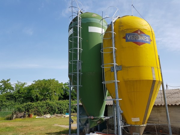 5#5220 Silos Veronesi in vendita - foto 6